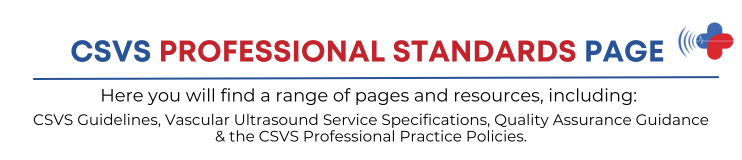  Professional Standards & Guidelines